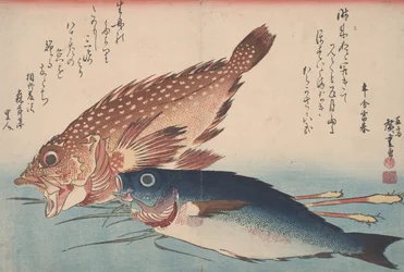 Kasago, Isaki und Ingwer, 1832