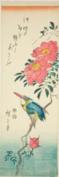 Eisvogel und Rosen