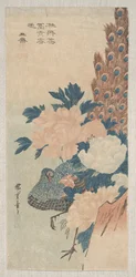 Pfau und Pfingstrosen, um 1830