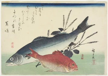 Roter Schnapper, Seebarsch und Perilla, ca. 1840
