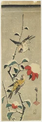 Spatzen und schneebedeckte Kamelie, 1837-1848