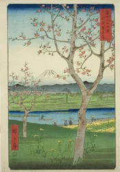 Die Vororte von Koshigaya in der Provinz Musashi (Musashi Koshigaya zai), aus der Serie "Sechsunddreißig Ansichten des Berges Fuji (Fuji sanjurokkei)"