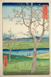 Die Vororte von Koshigaya in der Provinz Musashi, aus der Serie "Sechsunddreißig Ansichten des Berges Fuji"