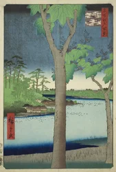 Der Paulownia-Hain in Akasaka, aus der Serie "Hundert berühmte Ansichten von Edo"