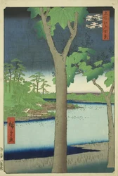 Der Paulownia-Hain in Akasaka, aus der Serie "Hundert berühmte Ansichten von Edo"