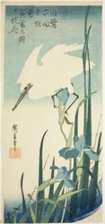 Weißer Reiher und Iris