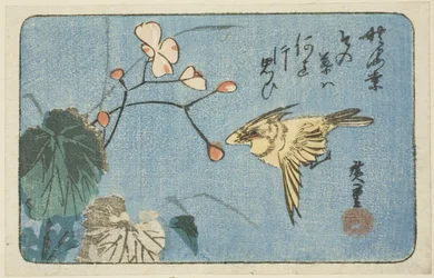 Gelber Vogel und Begonie