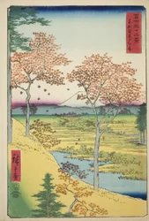 Yuhi-Hügel in Meguro in der östlichen Hauptstadt (Toto Meguro Yuhigaoka), aus der Serie "Sechsunddreißig Ansichten des Berges Fuji (Fuji sanjurokkei)"