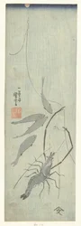 Languste und kleine Fische