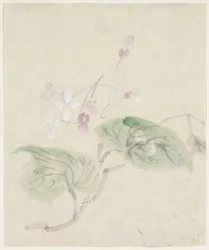 Rosa Glyzinie