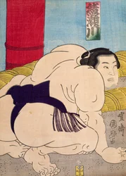 Sumo-Ringer
