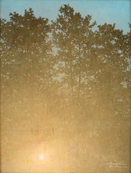 Sonnenuntergang. Fontainebleau