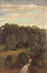 Bewaldete Hügel hinter einer Wiese mit einem Torfmoor