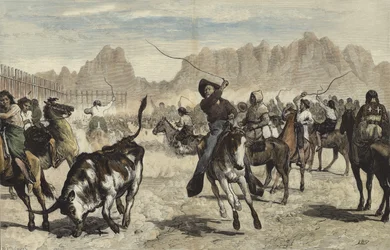 Viehtrieb in ein Gehege, Nebraska