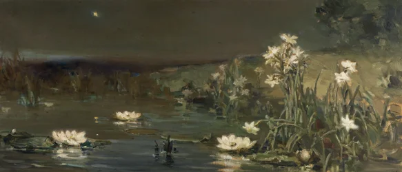 Stern in der Nacht