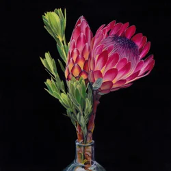 Rosa Protea-Vase