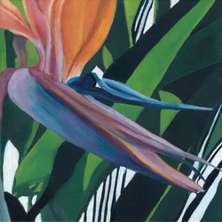 Lebendiger Paradiesvogel
