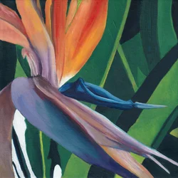 Lebendiger Paradiesvogel