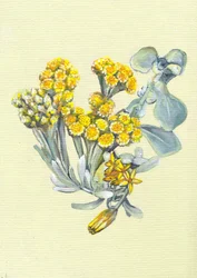 Lebendige gelbe Blumen