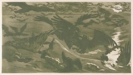 Raubvögel