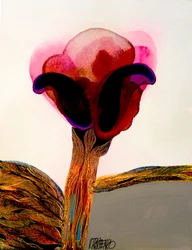 Dramatische rote Blüte