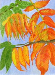 Lebendige Herbstblätter