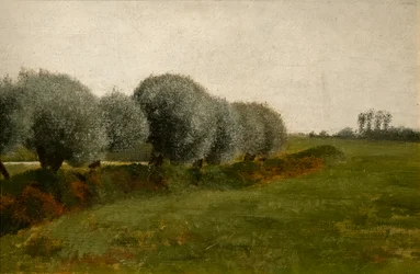 Landschaft mit einer Baumreihe