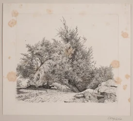 Ein großer Findling