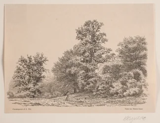 Waldrand