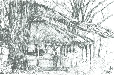 Outdoor-Bar, Lake Naivasha, 2006
