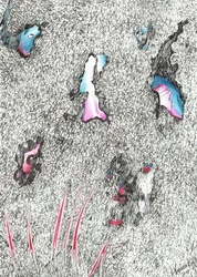 Bleichköpfe, 2017