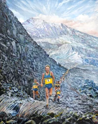 Snowdon-Lauf, 2019