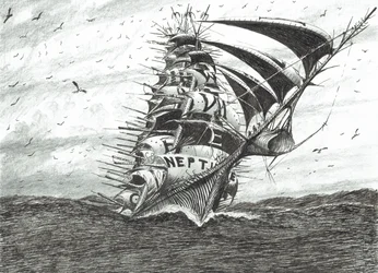 Sturmerschaffer Kap Delfin, 2024