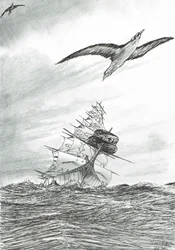 Sturmerschaffer Mindanaosee, 2020