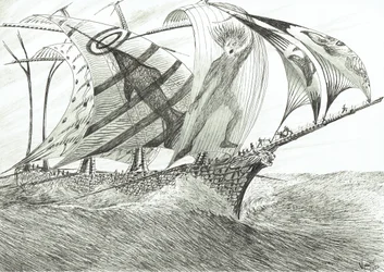 Sturmerschaffer Nordwestkap, 2022