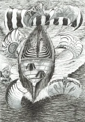 Sturmerschaffer Philippinisches Meer