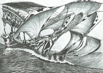 Sturmerschaffer Tasmansee, 2017