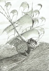 Sturmerschaffer Zhaoyang Hu, 2022