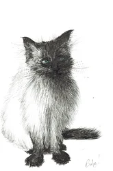 Junges Baby, 2004