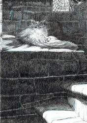 Seite 21, Das Schloss im Wald von Findhorn, 2006