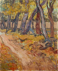Pfad im Garten des Asyls in Saint-Rémy, 1889