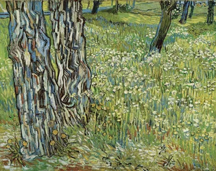 Baumstämme im Gras