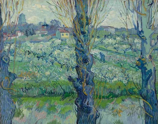 Blick auf Arles