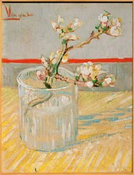 Blühender Mandelzweig in einem Glas, März 1888