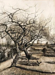 Der Garten des Pfarrhauses in Nuenen