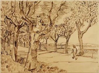 Die Straße nach Tarascon
