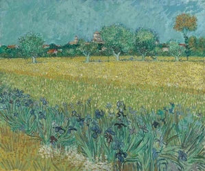 Feld mit Blumen bei Arles
