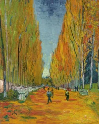 Die Allee der Alyscamps