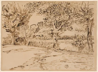 Landschaft bei Arles