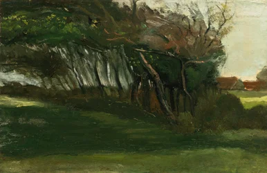 Landschaft mit windgepeitschten Bäumen, ca. 1883-84
